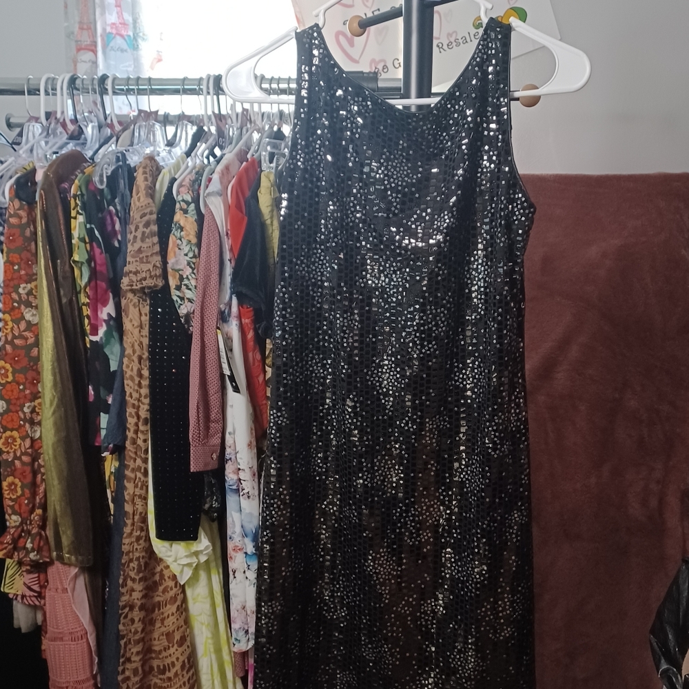 #80 Robert Louis Sequin Dress